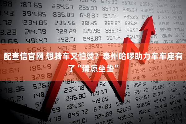 配查信官网 想骑车又怕烫？泰州哈啰助力车车座有了“清凉坐垫”