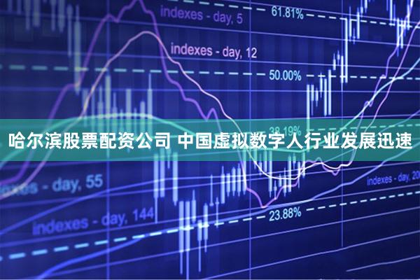 哈尔滨股票配资公司 中国虚拟数字人行业发展迅速