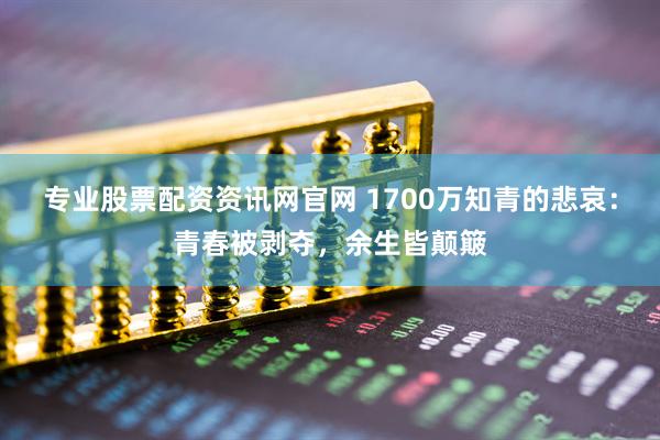 专业股票配资资讯网官网 1700万知青的悲哀：青春被剥夺，余生皆颠簸